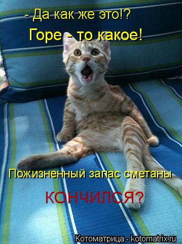 - Да как же это!? Пожизненный запас сметаны КОНЧИЛСЯ? Горе - то какое!... Котоматрица: - Да как же это!? Пожизненный запас сметаны КОНЧИЛСЯ? Горе - то какое!