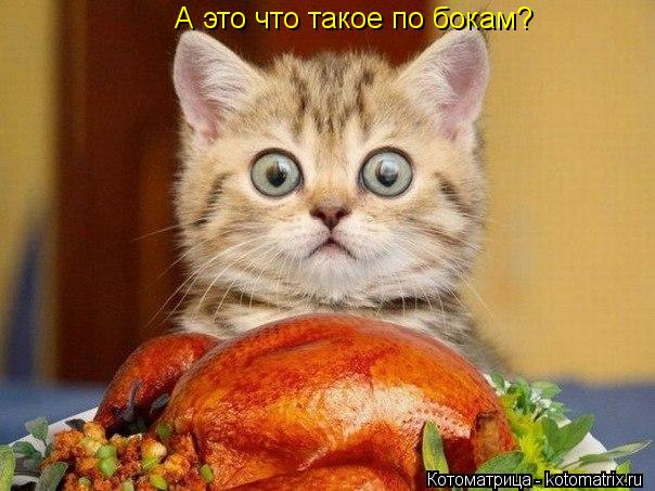 А это что такое по бокам?... Котоматрица: А это что такое по бокам?