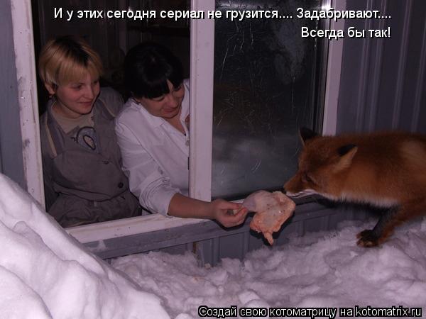 Котоматрица: И у этих сегодня сериал не грузится.... Задабривают.... Всегда бы так!
