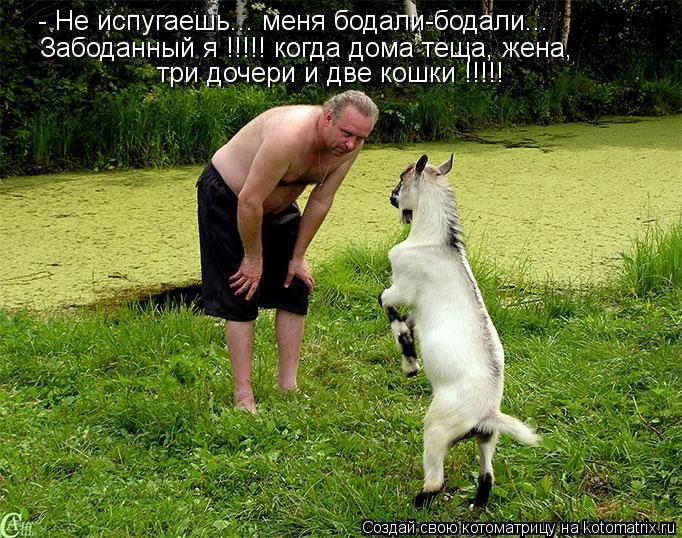 Котоматрица: - Не испугаешь... меня бодали-бодали... Забоданный я !!!!! когда дома теща, жена,  три дочери и две кошки !!!!!