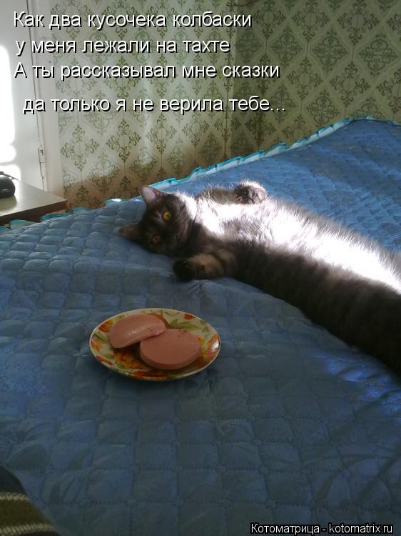 Котоматрица: Как два кусочека колбаски  у меня лежали на тахте А ты рассказывал мне сказки да только я не верила тебе...