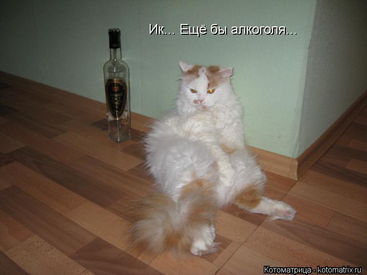 Ик... Ещё бы алкоголя...... Котоматрица: Ик... Ещё бы алкоголя...