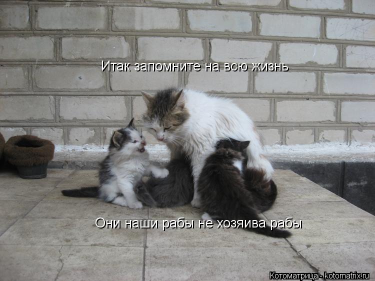 Итак запомните на всю жизнь Они наши рабы не хозяива рабы... Котоматрица: Итак запомните на всю жизнь Они наши рабы не хозяива рабы