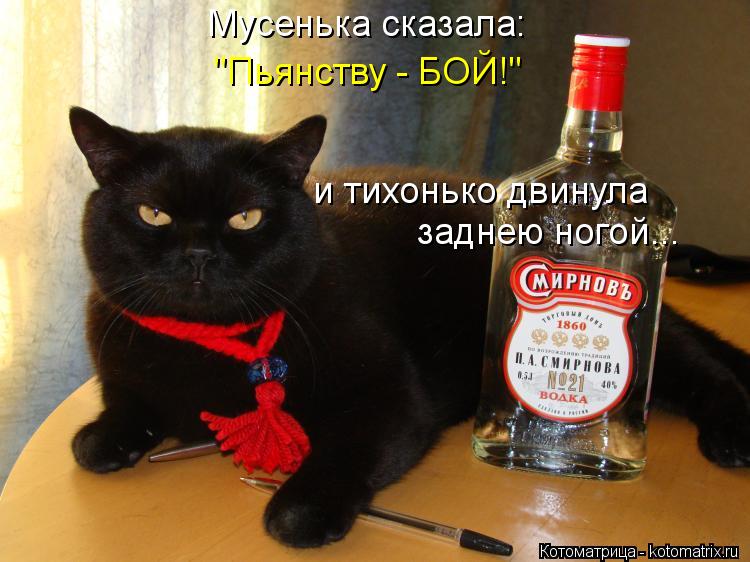 Котоматрица: Мусенька сказала: "Пьянству - БОЙ!" и тихонько двинула заднею ногой...
