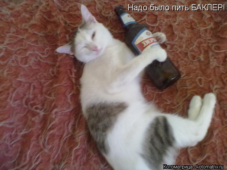 Надо было пить БАКЛЕР!... Котоматрица: Надо было пить БАКЛЕР!