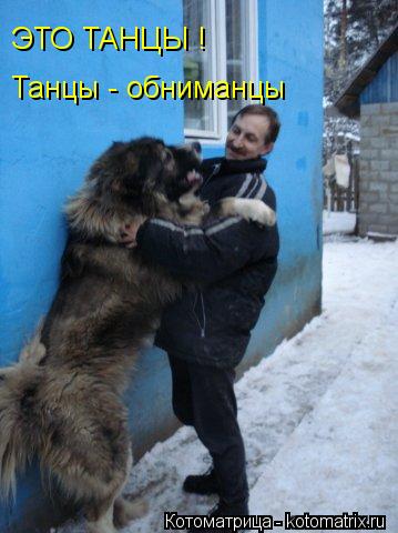 ЭТО ТАНЦЫ ! Танцы - обниманцы... Котоматрица: ЭТО ТАНЦЫ ! Танцы - обниманцы