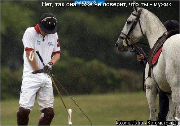 Котоматрица: Нет, так она тоже не поверит, что ты - мужик