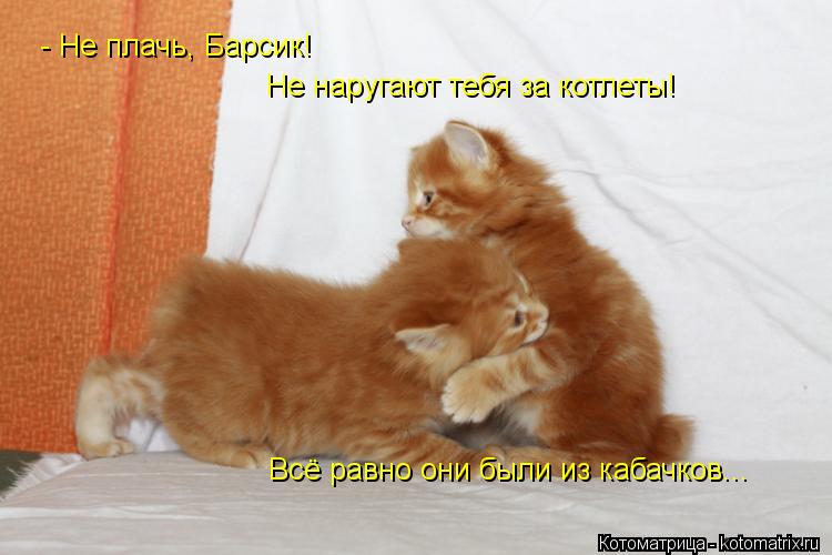- Не плачь, Барсик! Не наругают тебя за котлеты! Всё равно они были из кабачков...... Котоматрица: - Не плачь, Барсик! Не наругают тебя за котлеты! Всё равно они были из кабачков...