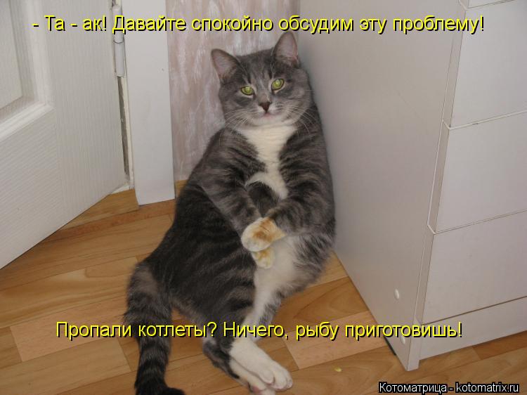 Котоматрица: - Та - ак! Давайте спокойно обсудим эту проблему! Пропали котлеты? Ничего, рыбу приготовишь!