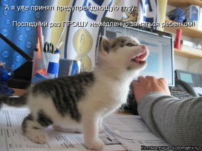А я уже принял предупреждающую позу... Последний раз ПРОШУ немедленно заняться ребенком!... Котоматрица: А я уже принял предупреждающую позу... Последний раз ПРОШУ немедленно заняться ребенком!