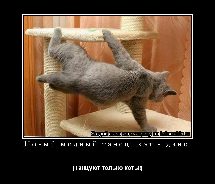 Котоматрица: Новый модный танец: кэт - данс! (Танцуют только коты!)