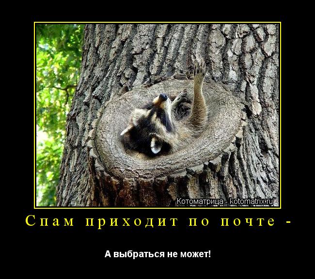 Котоматрица: Спам приходит по почте - А выбраться не может!