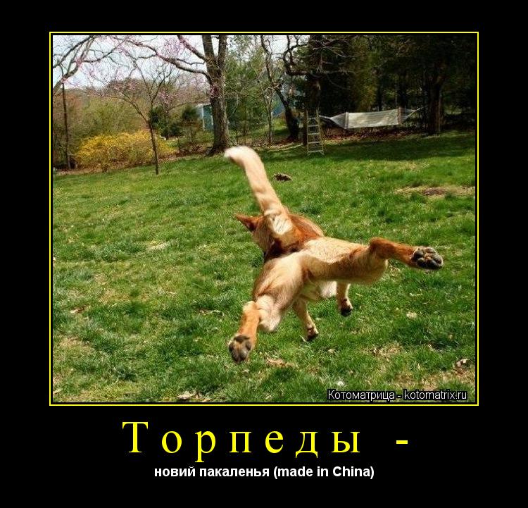 Котоматрица: Торпеды - новий пакаленья (made in China)