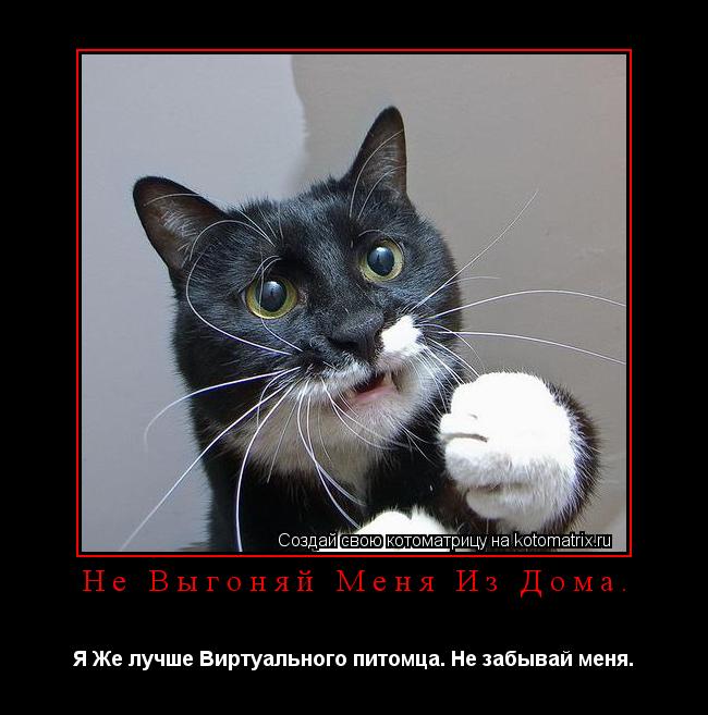 Котоматрица: Не Выгоняй Меня Из Дома.  Я Же лучше Виртуального питомца. Не забывай меня. 