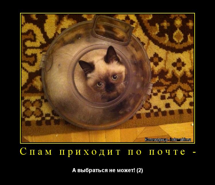 Котоматрица: Спам приходит по почте - А выбраться не может! (2)