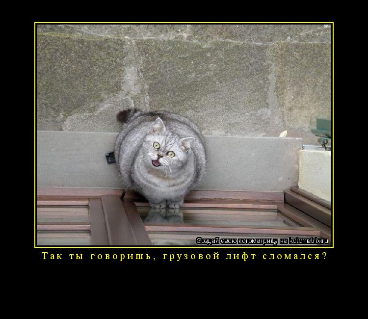 Котоматрица: Так ты говоришь, грузовой лифт сломался? 