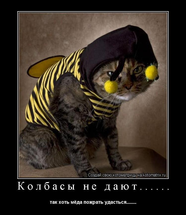 Котоматрица: Колбасы не дают...... так хоть мёда пожрать удасться........