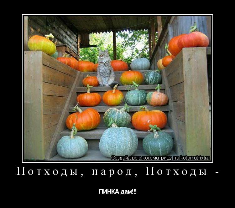 Котоматрица: Потходы, народ, Потходы - ПИНКА дам!!!