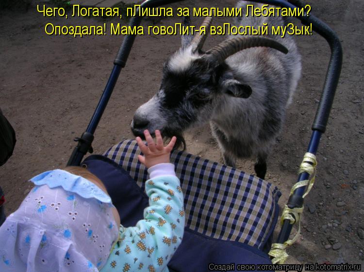 Чего, Логатая, пЛишла за малыми Лебятами? Опоздала! Мама говоЛит-я взЛослый муЗык!... Котоматрица: Чего, Логатая, пЛишла за малыми Лебятами? Опоздала! Мама говоЛит-я взЛослый муЗык!