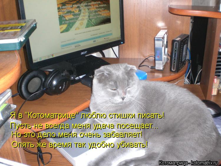 Котоматрица: Я в "Котоматрице" люблю стишки писать! Пусть не всегда меня удача посещает... Но это дело меня очень забавляет! Опять же время так удобно убив