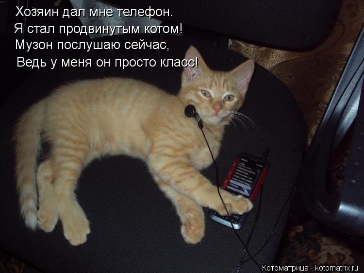 Хозяин дал мне телефон. Я стал продвинутым котом! Музон послушаю сейчас, Ведь у меня он просто класс!... Котоматрица: Хозяин дал мне телефон. Я стал продвинутым котом! Музон послушаю сейчас, Ведь у меня он просто класс!