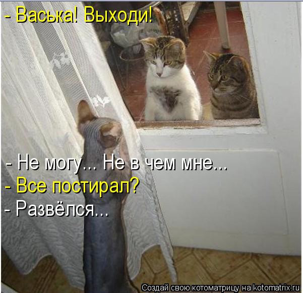 - Васька! Выходи! - Не могу... Не в чем мне... - Все постирал? - Развёлся...... Котоматрица: - Васька! Выходи! - Не могу... Не в чем мне... - Все постирал? - Развёлся...