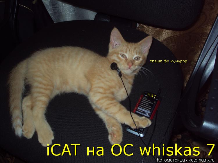 iCAT iCAT на OC whiskas 7 спешл фо ю,муррр... Котоматрица: iCAT iCAT на OC whiskas 7 спешл фо ю,муррр