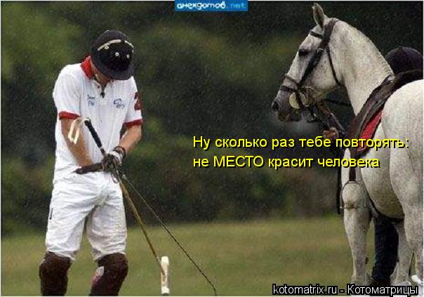 Ну сколько раз тебе повторять: не МЕСТО красит человека... Котоматрица: Ну сколько раз тебе повторять: не МЕСТО красит человека