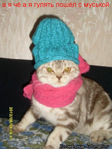 Котоматрица: а я чё а я гулять пошёл с муськой