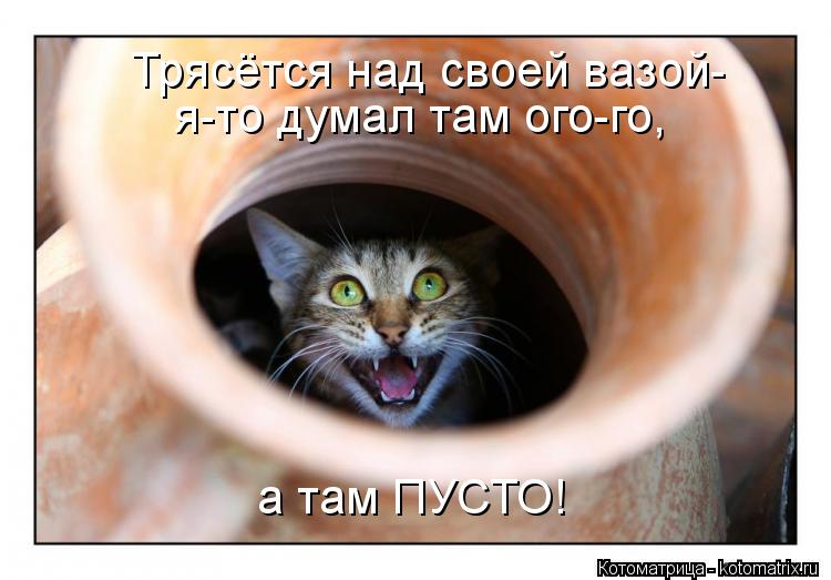 Трясётся над своей вазой- я-то думал там ого-го, а там ПУСТО!... Котоматрица: Трясётся над своей вазой- я-то думал там ого-го, а там ПУСТО!