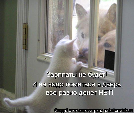 Зарплаты не будет! И не надо ломиться в дверь, все равно денег НЕТ!... Котоматрица: Зарплаты не будет! И не надо ломиться в дверь, все равно денег НЕТ!