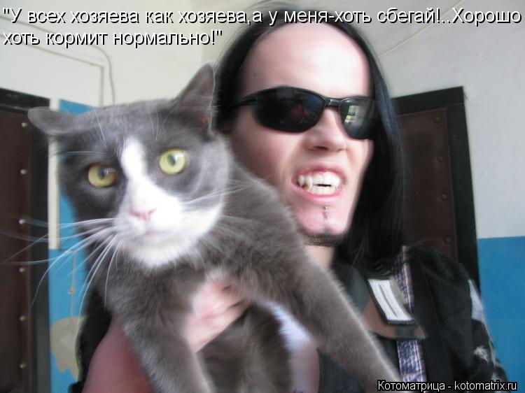 "У всех хозяева как хозяева,а у меня-хоть сбегай!..Хорошо хоть кормит нормально!"... Котоматрица: "У всех хозяева как хозяева,а у меня-хоть сбегай!..Хорошо хоть кормит нормально!"
