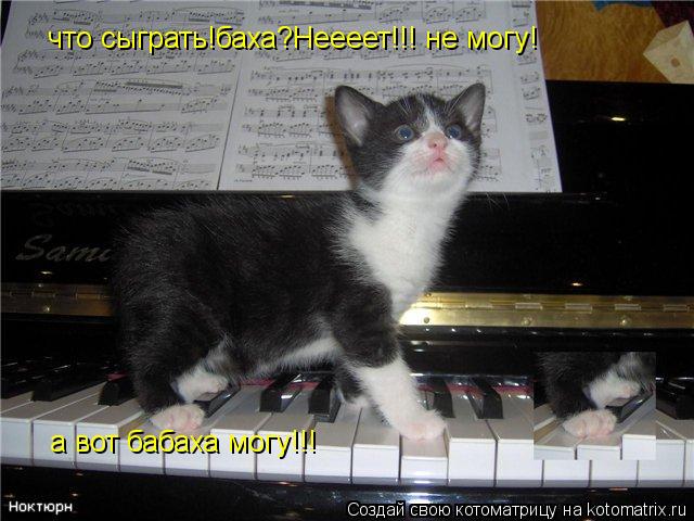 Котоматрица: что сыграть!баха?Неееет!!! не могу! а вот бабаха могу!!!