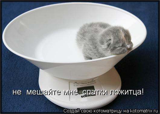 Котоматрица: не  мешайте мне  спатки ложитца!