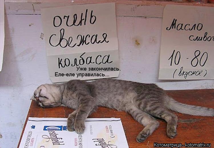 Котоматрица: Уже закончилась. Еле-еле управилась...