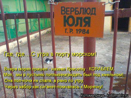 Мол, мы в пустыню поплывем(видать был под хмельком), Вчера моряк пришел - назвал Красотку : КОРАБЛЕМ... Котоматрица: Мол, мы в пустыню поплывем(видать был под хмельком), Вчера моряк пришел - назвал Красотку : КОРАБЛЕМ, Где, где....С утра в порту морском! Она пол