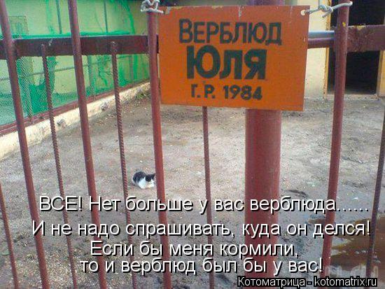 ВСЕ! Нет больше у вас верблюда...... И не надо спрашивать, куда он делся! Если бы меня кормили, то и... Котоматрица: ВСЕ! Нет больше у вас верблюда...... И не надо спрашивать, куда он делся! Если бы меня кормили, то и верблюд был бы у вас!