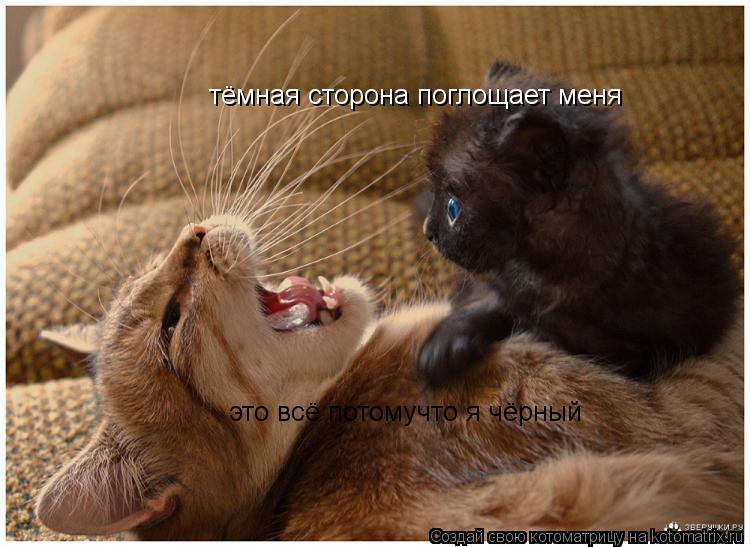 Котоматрица: тёмная сторона поглощает меня это всё потомучто я чёрный