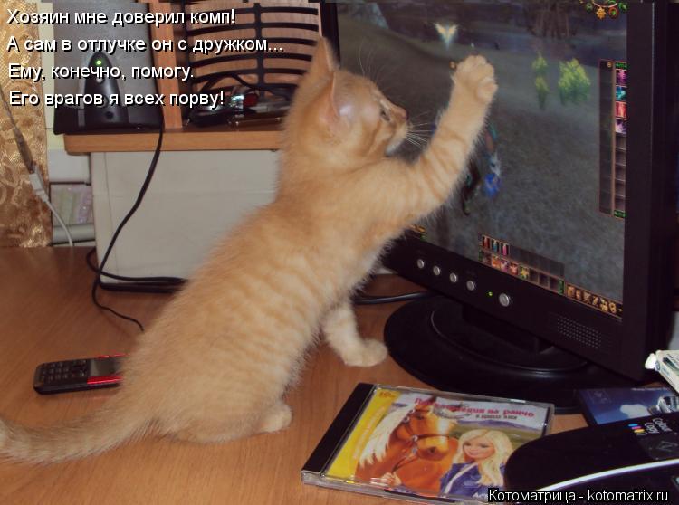 Котоматрица: Хозяин мне доверил комп! А сам в отлучке он с дружком... Ему, конечно, помогу. Его врагов я всех порву!