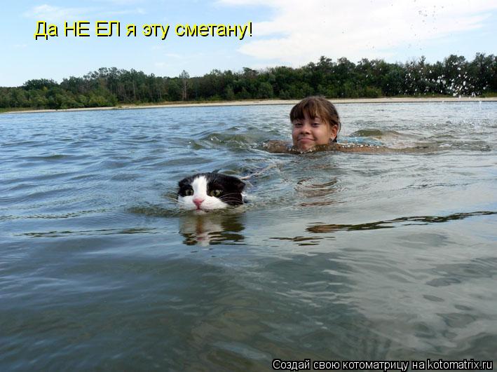 Котоматрица: Да НЕ ЕЛ я эту сметану!