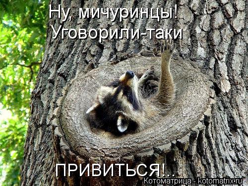 Ну, мичуринцы! Уговорили-таки ПРИВИТЬСЯ!..... Котоматрица: Ну, мичуринцы! Уговорили-таки ПРИВИТЬСЯ!..