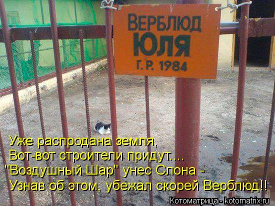 Уже распродана земля, Вот-вот строители придут.... "Воздушный Шар" унес Слона - Узнав об этом, убежал... Котоматрица: Уже распродана земля, Вот-вот строители придут.... "Воздушный Шар" унес Слона - Узнав об этом, убежал скорей Верблюд!!