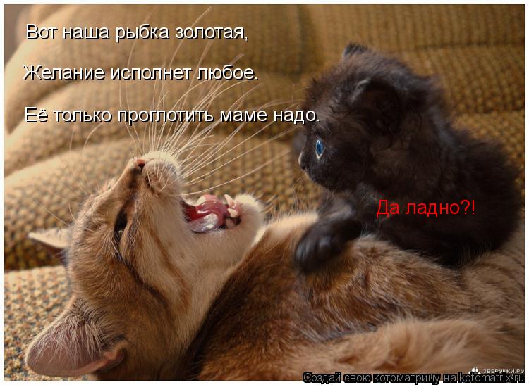 Котоматрица: Вот наша рыбка золотая, Желание исполнет любое. Её только проглотить маме надо. Да ладно?!