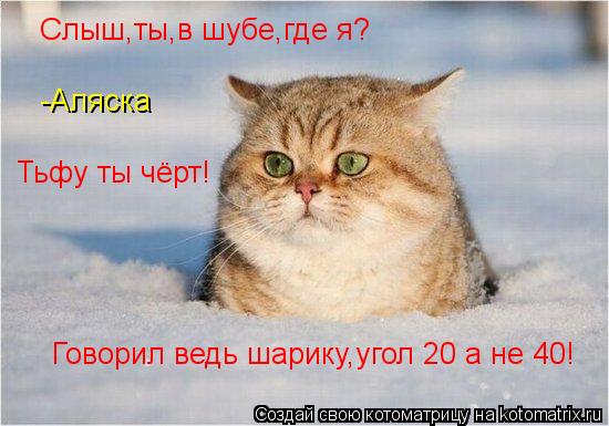 Котоматрица: Слыш,ты,в шубе,где я? -Аляска Тьфу ты чёрт! Говорил ведь шарику,угол 20 а не 40!