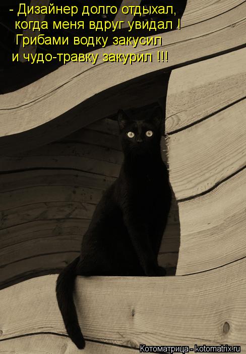 Котоматрица: - Дизайнер долго отдыхал, когда меня вдруг увидал ! Грибами водку закусил и чудо-травку закурил !!!