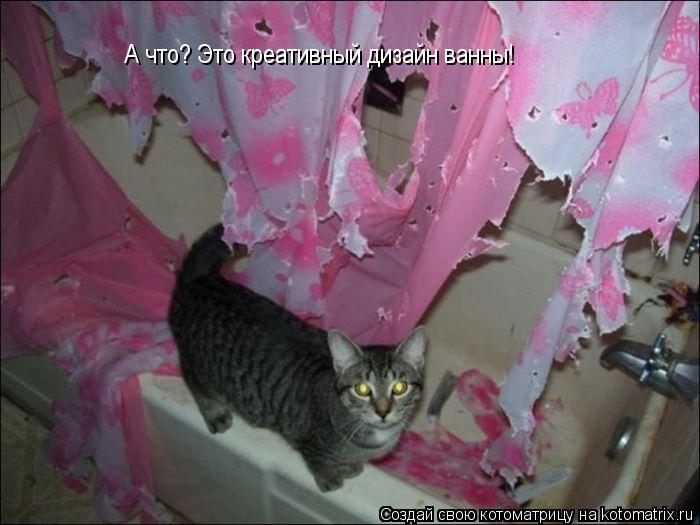 Котоматрица: А что? Это креативный дизайн ванны!