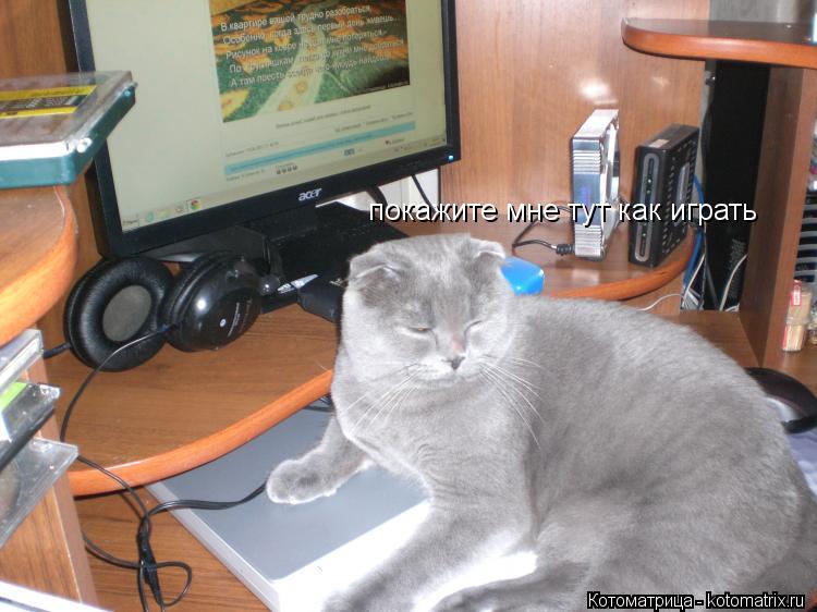Котоматрица: покажите мне тут как играть покажите мне тут как играть