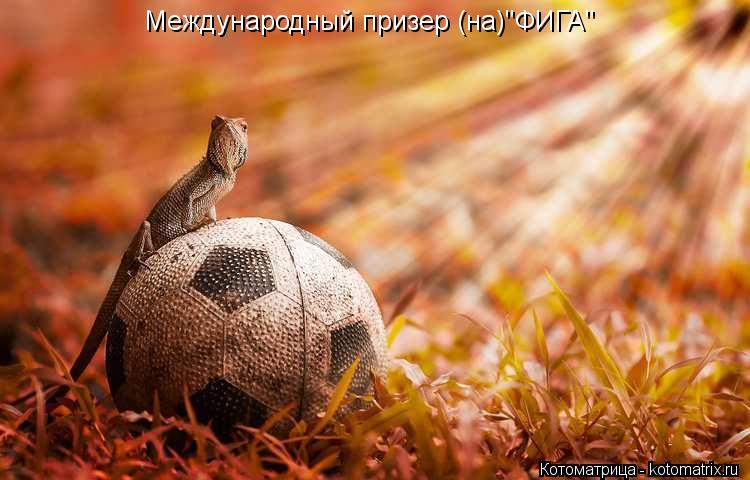 Котоматрица: Международный призер (на)"ФИГА"