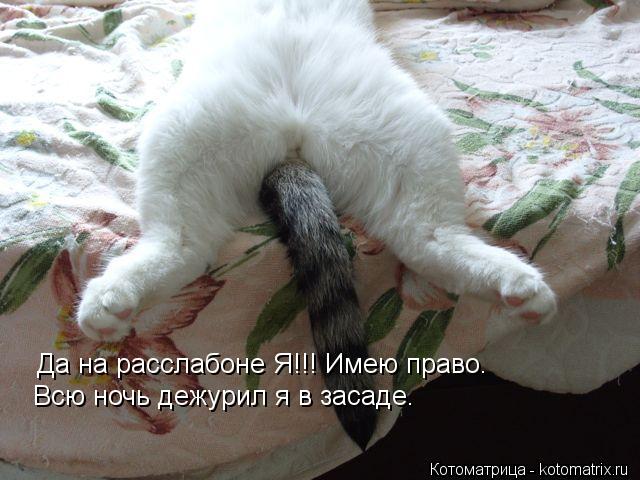 Котоматрица: Да на расслабоне Я!!! Имею право. Всю ночь дежурил я в засаде.