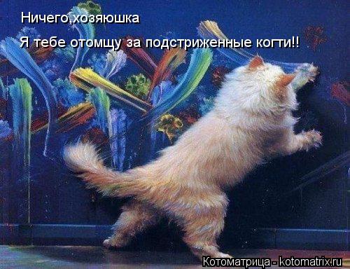 Котоматрица: Ничего,хозяюшка Я тебе отомщу за подстриженные когти!!